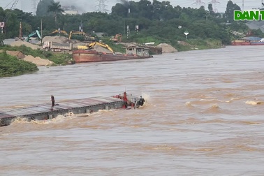 Cảnh nước dâng cao, chảy cuồn cuộn trên sông Hồng, sông Đuống