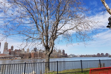 Những ảnh chụp thử đầu tiên từ Galaxy S8