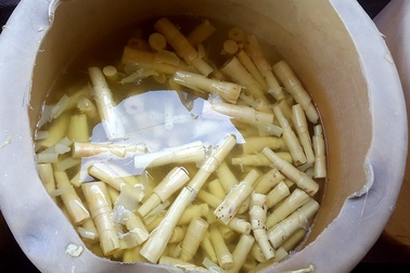 Phát hiện măng tươi “nhuộm vàng” bằng hóa chất công nghiệp