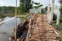 Một huyện ở Long An có 9 điểm sạt lở và nguy cơ sạt lở