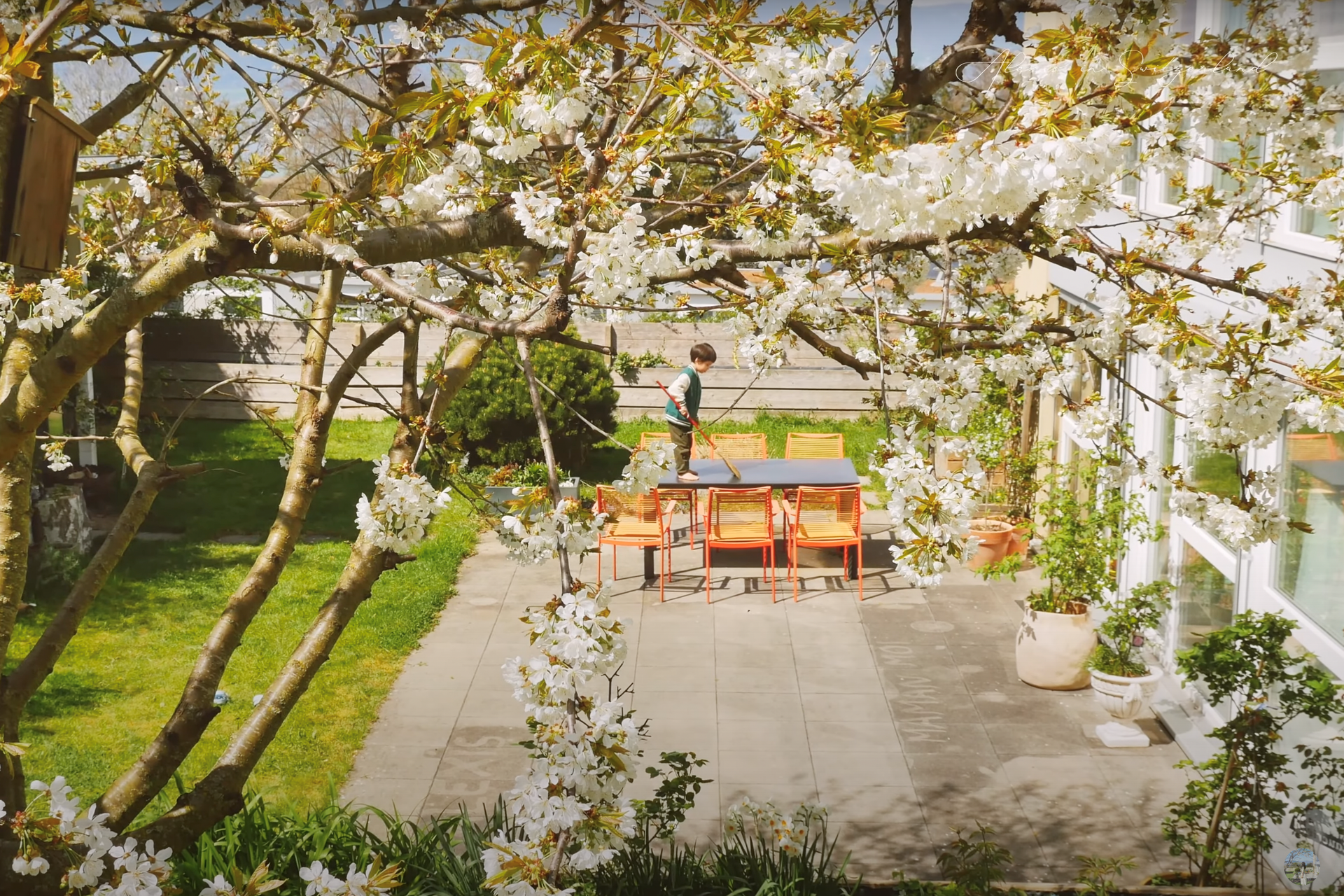 Vợ Việt chồng Thụy Sĩ bỏ phố về quê, sống ở nhà vườn 700m2 đẹp như cổ tích - 11 Vợ Việt chồng Thụy Sĩ bỏ phố về quê, sống ở nhà vườn 700m2 đẹp như cổ tích - 11