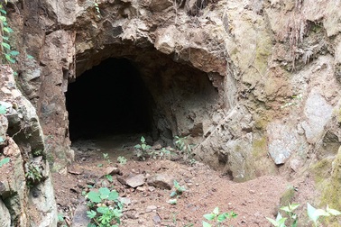 Dân lo lắng ô nhiễm từ doanh nghiệp khai thác vàng tại Bình Định!