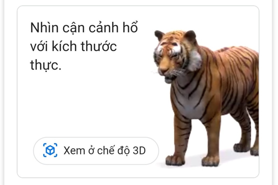 Thăm vườn bách thú 3D trong mùa dịch Covid-19 chỉ với Google Search - 4 Thăm vườn bách thú 3D trong mùa dịch Covid-19 chỉ với Google Search - 4