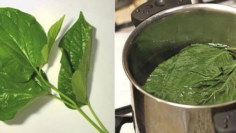 Kén đặt phụ khoa được quảng cáo như thần dược: Nhận định từ chuyên gia - 7