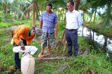 Trồng dừa chưa kịp ra trái đã "hái" được khối tiền ở Trà Vinh