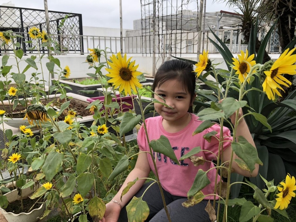 Chồng kỹ sư biến sân thượng thành vườn rau, trái sum suê tặng vợ - 12