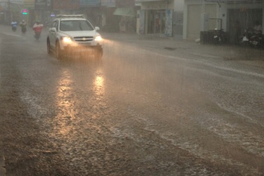 Người dân TPHCM sung sướng đón “trận mưa vàng”