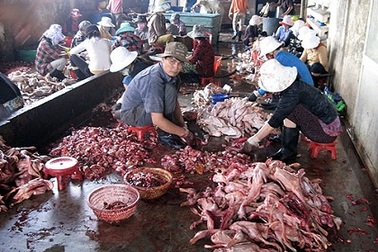 Mất an toàn thực phẩm đã trở thành ‘quốc nạn’