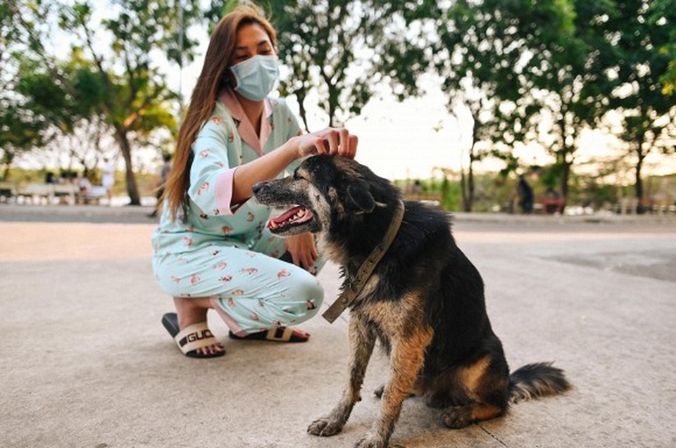 Siêu mẫu Võ Hoàng Yến hái rau lang “cải thiện” bữa ăn ở khu cách ly - 9 Siêu mẫu Võ Hoàng Yến hái rau lang “cải thiện” bữa ăn ở khu cách ly - 9