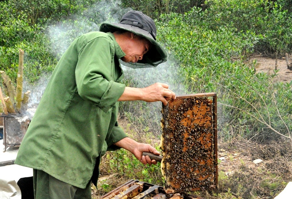 Nghề được rừng nuôi kiếm vài trăm triệu mỗi năm - 2 Nghề được rừng nuôi kiếm vài trăm triệu mỗi năm - 2