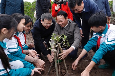 Bộ Tài nguyên và Môi trường trao tặng 10.000 cây xanh ở Thái Bình
