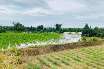 Đồng Nai yêu cầu hỗ trợ nhanh hộ dân bị ngập lụt sau khi thủy điện xả lũ