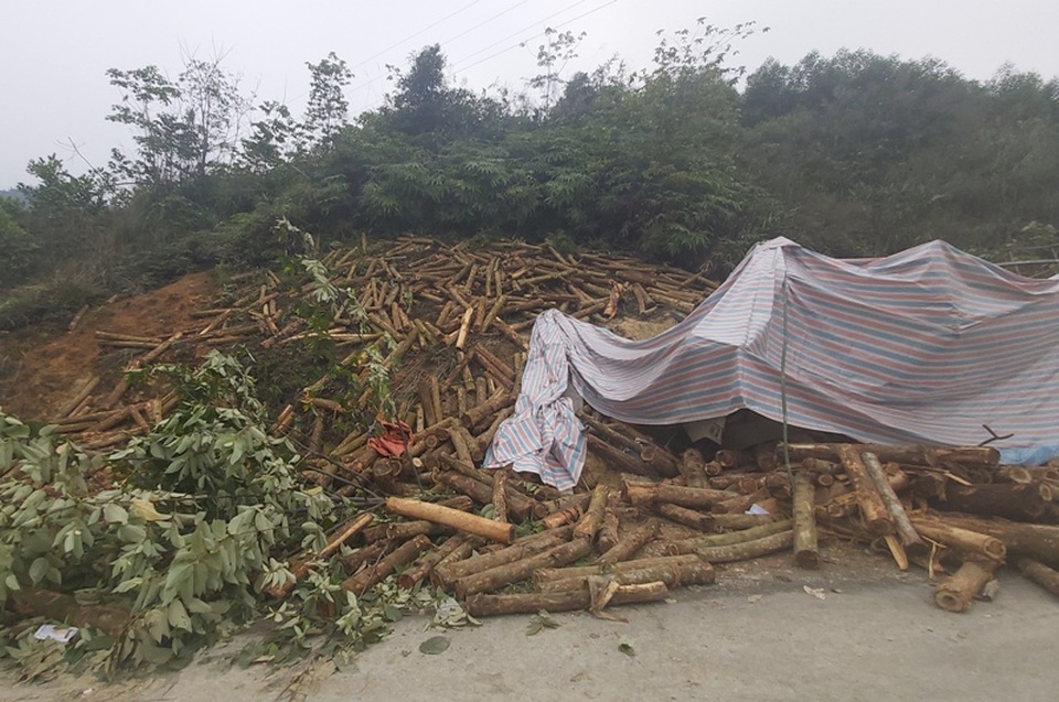 Tai nạn 7 người chết: Xe lao thẳng vào vách núi, cabin nát bét - 1 Tai nạn 7 người chết: Xe lao thẳng vào vách núi, cabin nát bét - 1