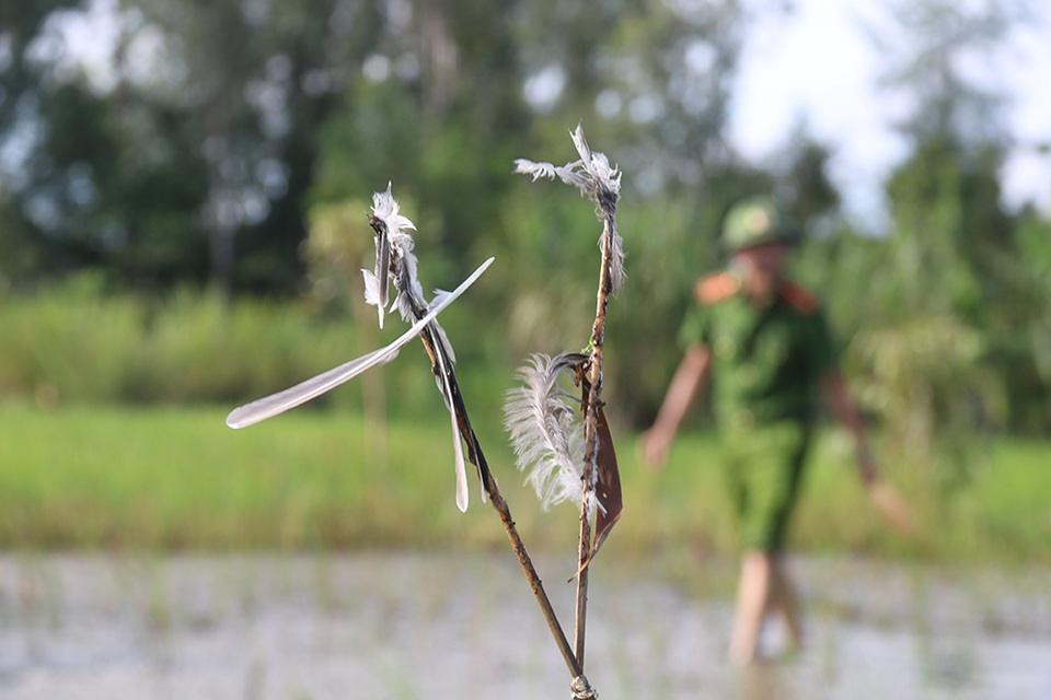 Truy quét, tháo dỡ “thiên la địa võng” tận diệt chim trời - 8