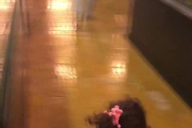 Clip sư tử bị nhốt trong lồng kính mua vui cho khách gây tranh cãi