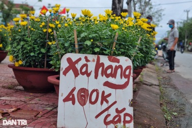 Chợ hoa 29 Tết đông nghịt người, người bán đồng loạt "xả" hàng