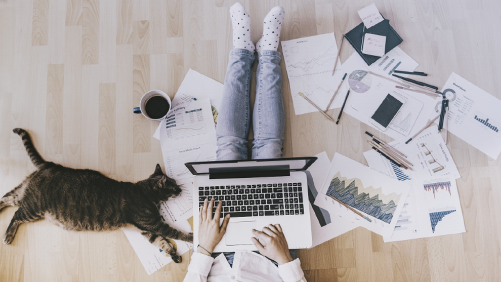 Họp online, sếp giật mình khi nghe tiếng nhân viên quát lớn: Im ngay! - 1 Họp online, sếp giật mình khi nghe tiếng nhân viên quát lớn: Im ngay! - 1