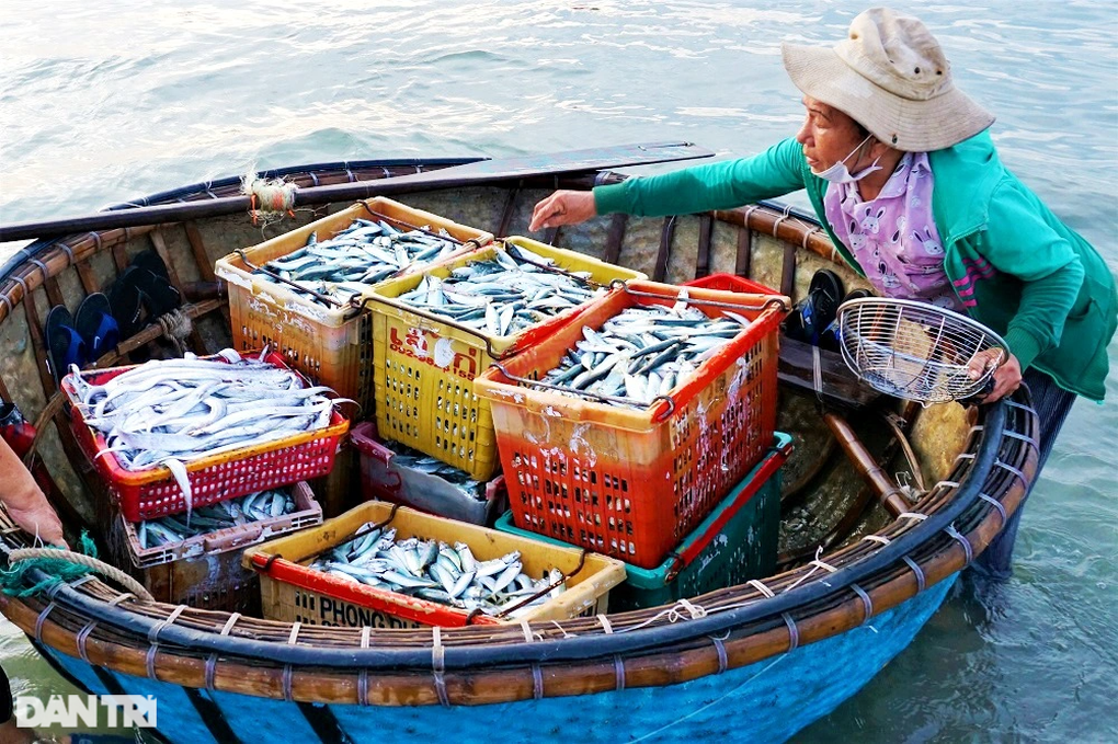 Phiên chợ lúc rạng đông, chỉ bán cá nục tươi - 11 Phiên chợ lúc rạng đông, chỉ bán cá nục tươi - 11