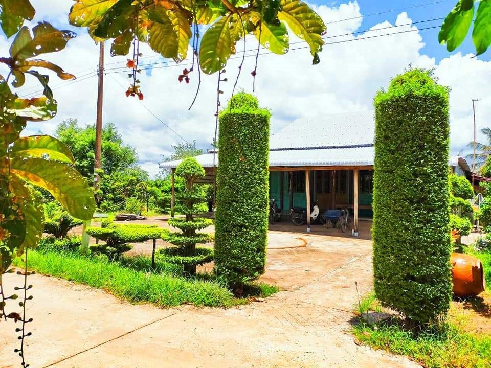 Chiêm ngưỡng ngôi nhà quê với hàng rào độc khiến thị dân chỉ biết mơ ước - 10 Chiêm ngưỡng ngôi nhà quê với hàng rào độc khiến thị dân chỉ biết mơ ước - 10