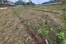 "Sốt đất" vùng ven Hà Nội hạ nhiệt, nhà đầu tư tính bán tháo