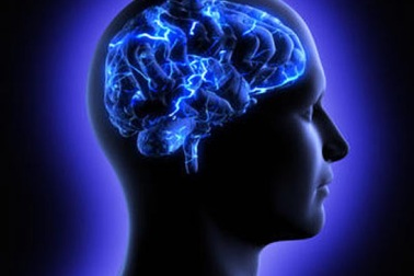 Tình yêu đến từ nơi đâu?