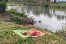 Vụ 2 con theo bố lên rẫy rồi mất tích: Tìm thấy thi thể bé gái