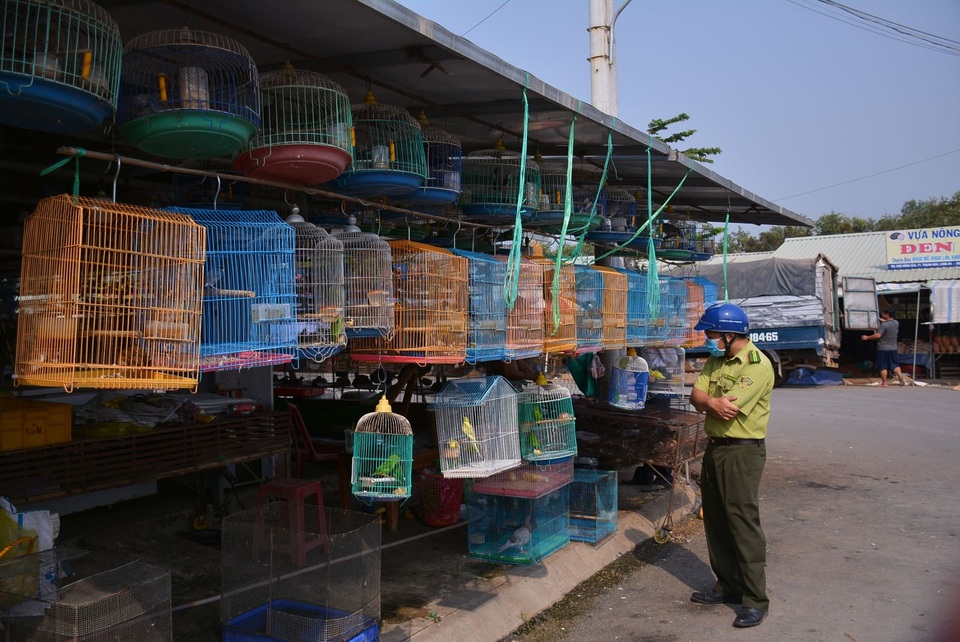 Kiểm tra chợ động vật hoang dã giữa thời dịch corona - 1 Kiểm tra chợ động vật hoang dã giữa thời dịch corona - 1