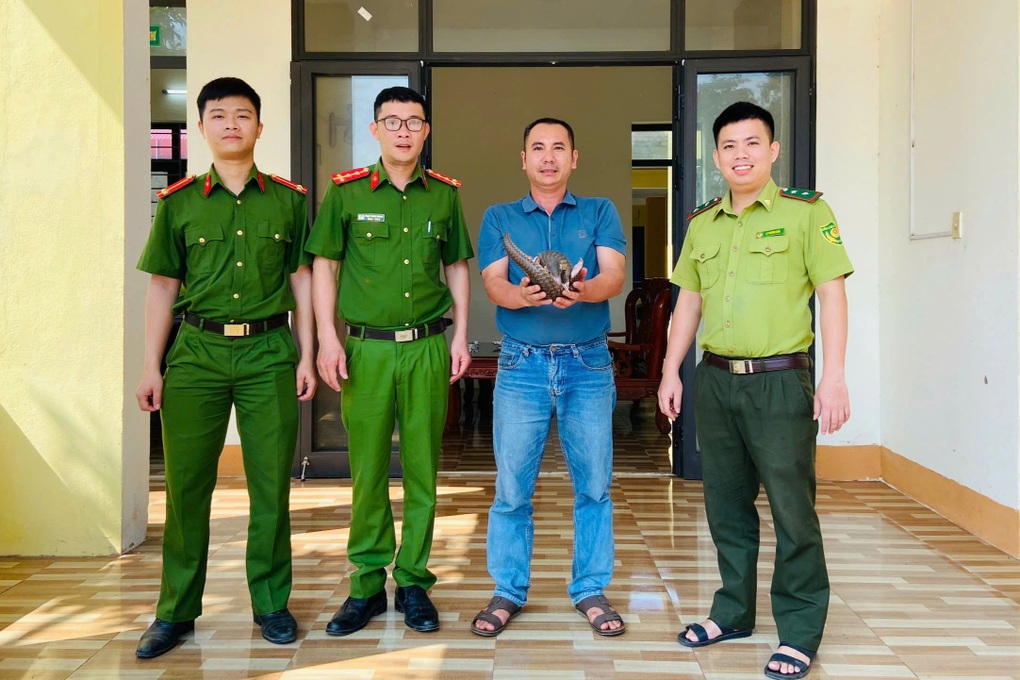 Giải cứu tê tê quý hiếm mắc lưới bên đường - 1 Giải cứu tê tê quý hiếm mắc lưới bên đường - 1