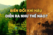 Video: "Chiếc bẫy" vô hình đang làm hành tinh nóng lên như thế nào?