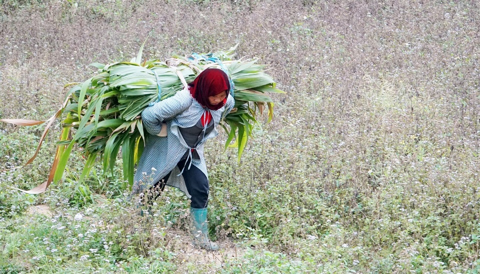 Ngày 8/3 của những người phụ nữ dân tộc HMông - 3 Ngày 8/3 của những người phụ nữ dân tộc HMông - 3