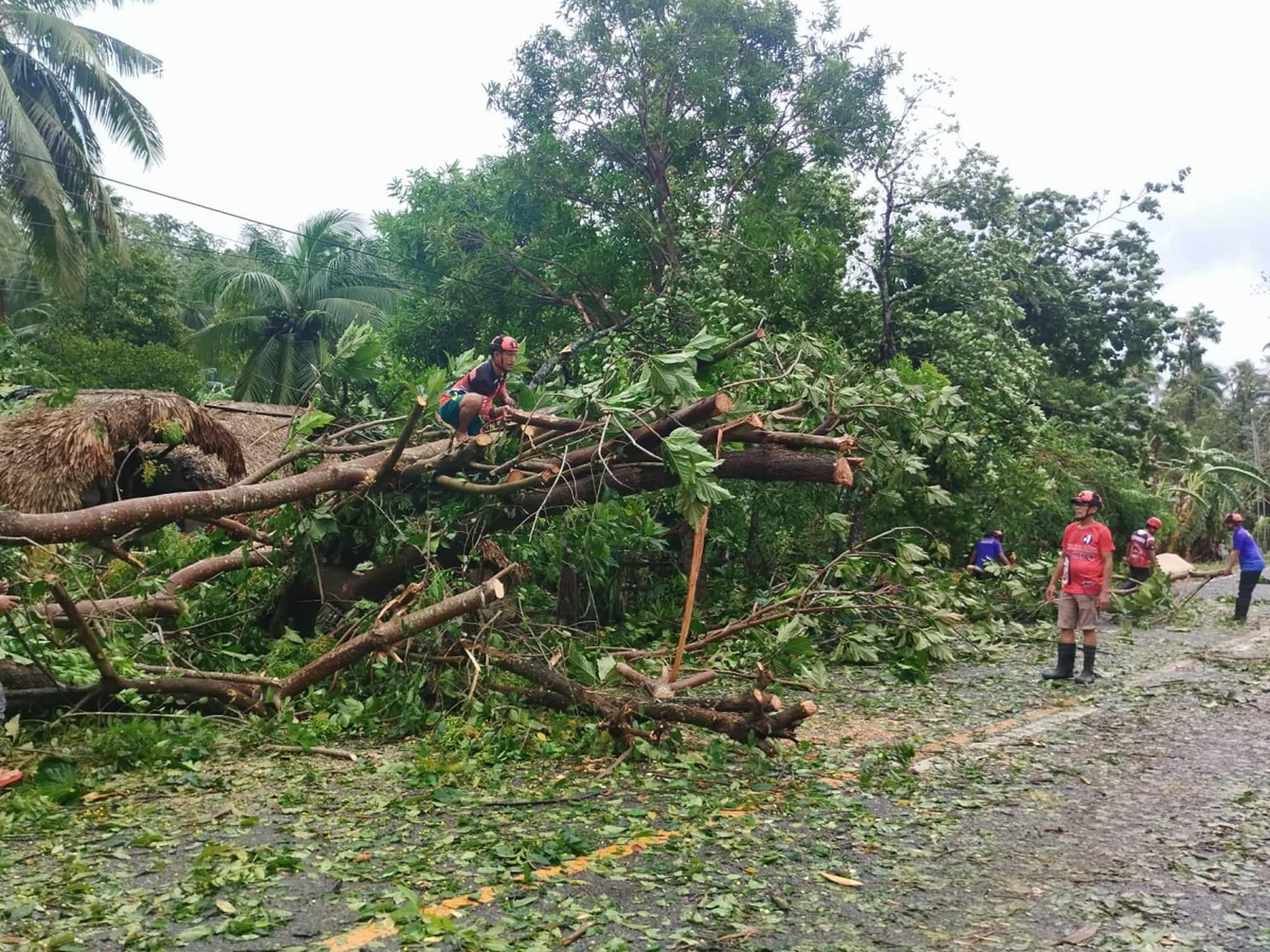 Cảnh tan hoang ở Philippines sau bão Bualoi khiến 14 người chết - 1
