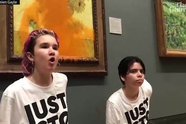 Bức "Hoa hướng dương" do Van Gogh thực hiện bị hắt súp cà chua