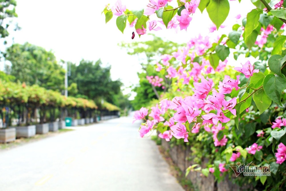 Tôi bị nhà chồng tương lai từ chối vì là trẻ mồ côi - 1 Tôi bị nhà chồng tương lai từ chối vì là trẻ mồ côi - 1