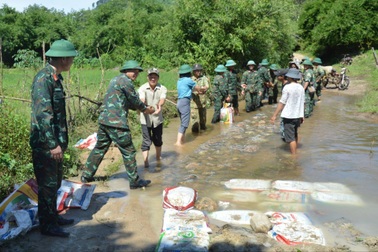 Sư đoàn 10 phát huy phẩm chất Bộ đội Cụ Hồ