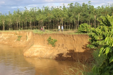 Phát hiện gần 50 vụ khai thác cát trái phép trên sông Đồng Nai