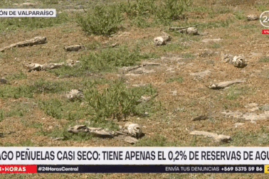 Hồ nước 95 triệu m3 cạn khô, lộ hàng nghìn bộ xương cá phủ kín dưới đáy