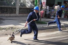 Lập đội bắt chó thả rông, chó nuôi phải có số đăng ký