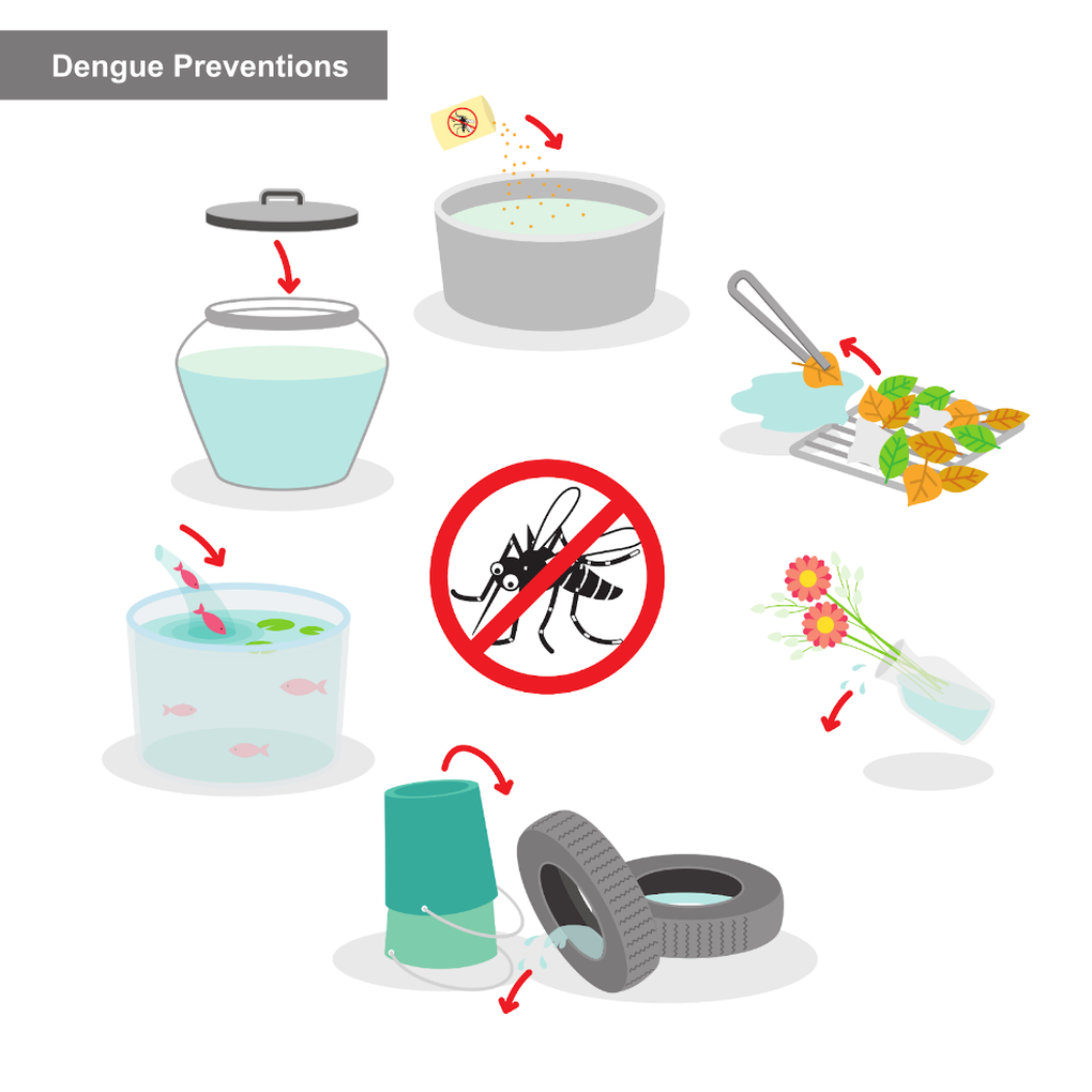 Mối nguy của sốt xuất huyết - 3 Mối nguy của sốt xuất huyết - 3