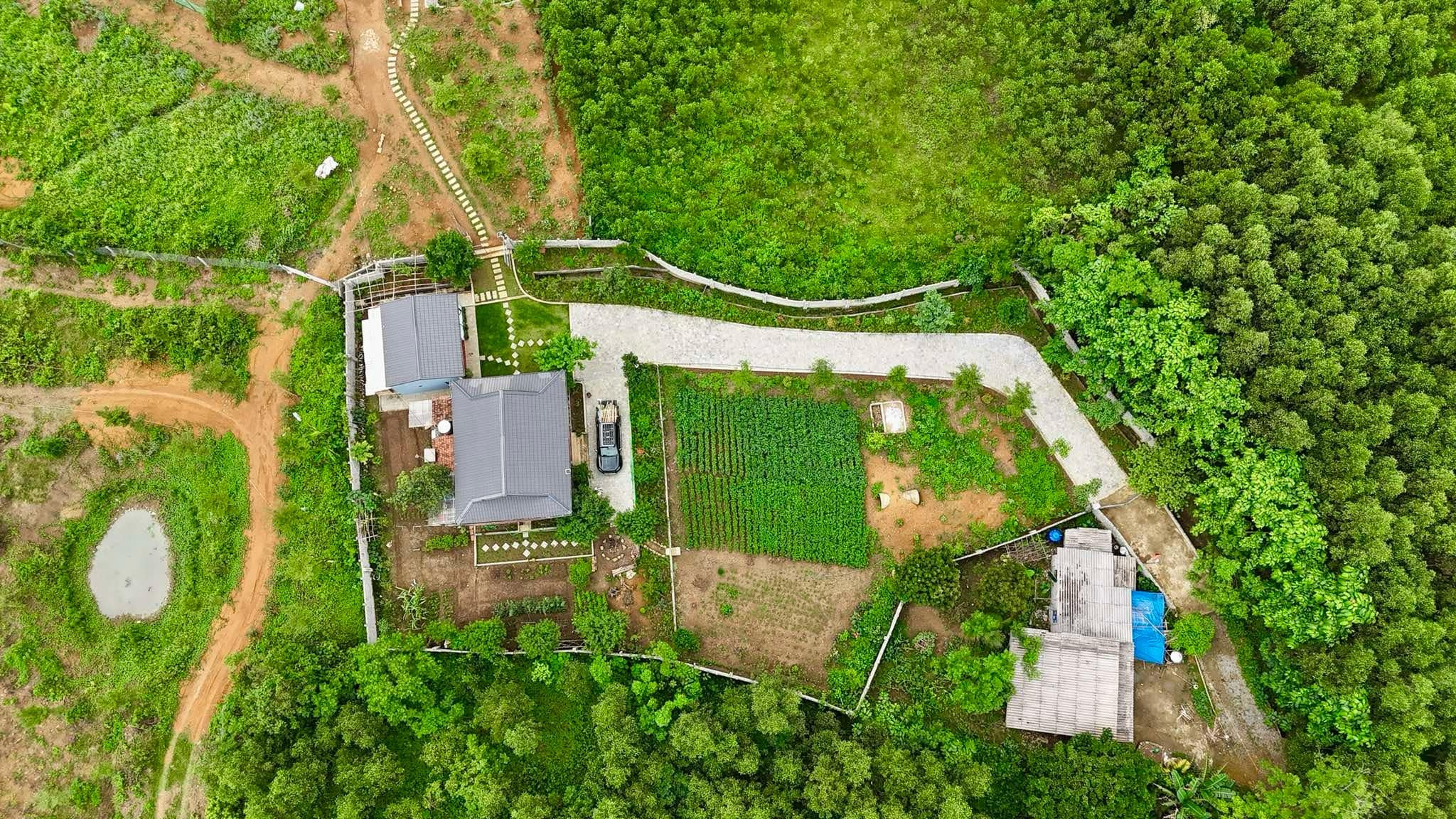 Sợ rau bẩn bụi mịn, vợ chồng ở Hà Nội mua 1.500m2 đất quê để nghỉ dưỡng - 3 Sợ rau bẩn bụi mịn, vợ chồng ở Hà Nội mua 1.500m2 đất quê để nghỉ dưỡng - 3