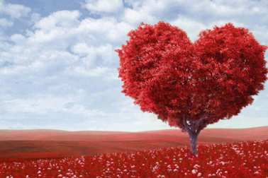 Hãy làm theo trái tim mách bảo