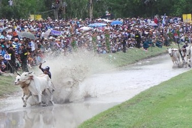 Chen chân xem lễ hội “độc” nhất Việt Nam