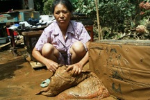 Tan hoang “cửa ngõ” di sản Phong Nha - Kẻ Bàng