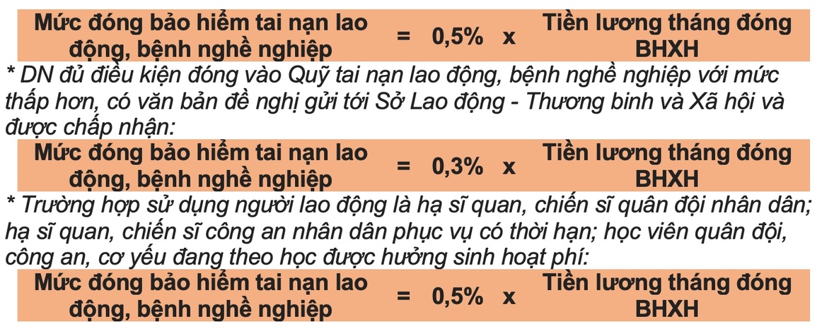 Quy định mới nhất về đối tượng và mức đóng bảo hiểm tai nạn lao động - 3