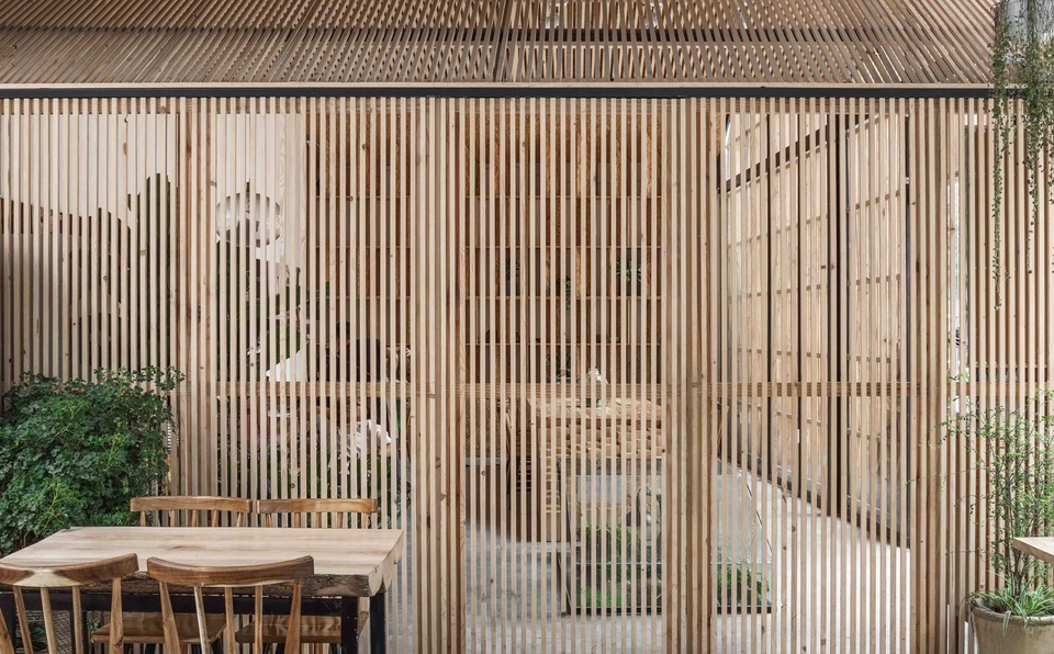 Quán cà phê như khu rừng nhiệt đới giữa lòng Hà Nội - 8