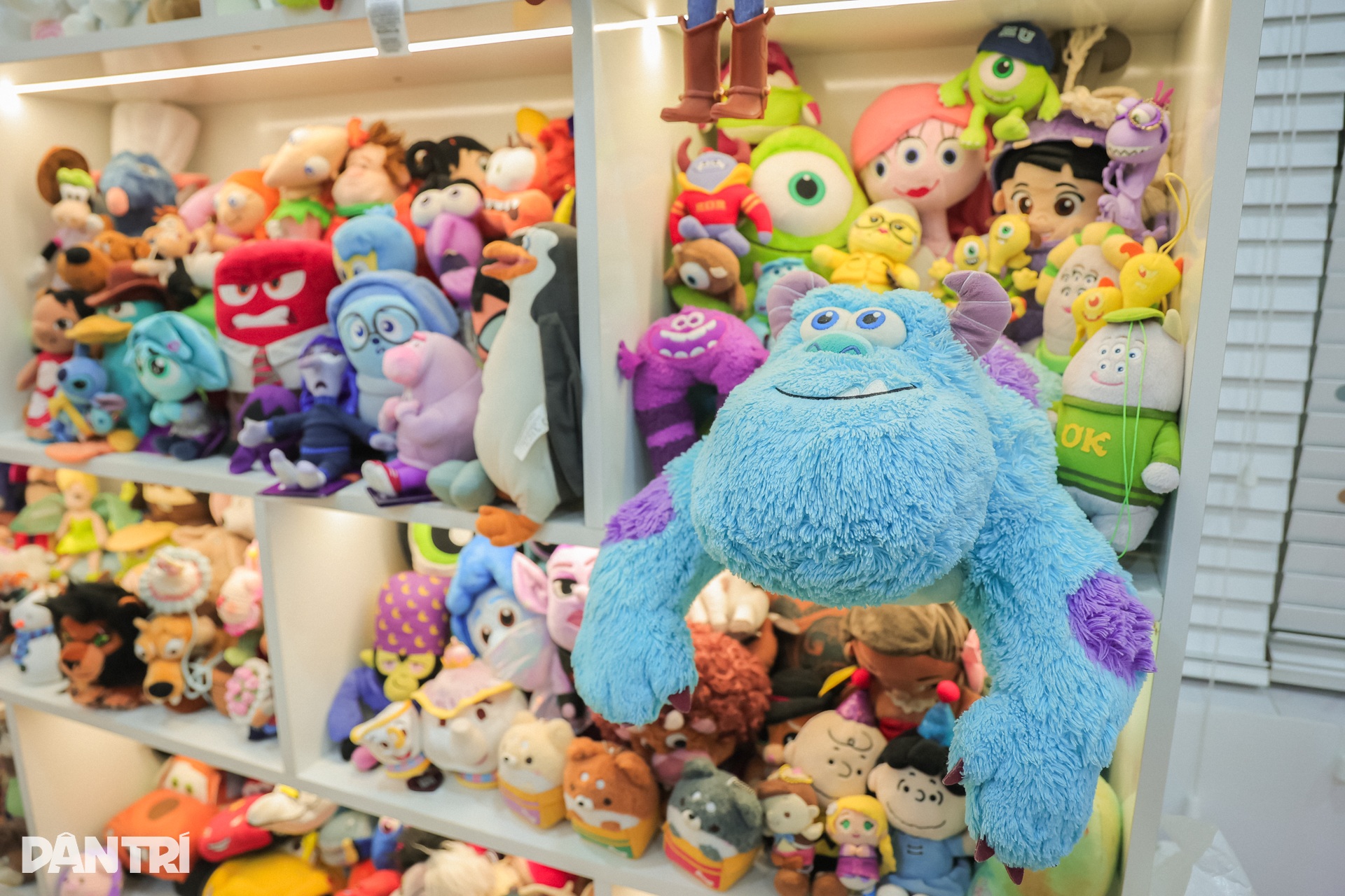 View - Cô gái ở Hà Nội sở hữu bộ sưu tập gấu bông trị giá trăm triệu đồng | Báo Dân trí