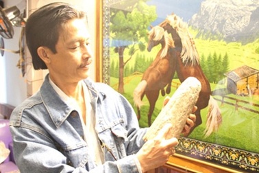 Chủ nhân ngà voi cổ hóa thạch giá 2 triệu đô