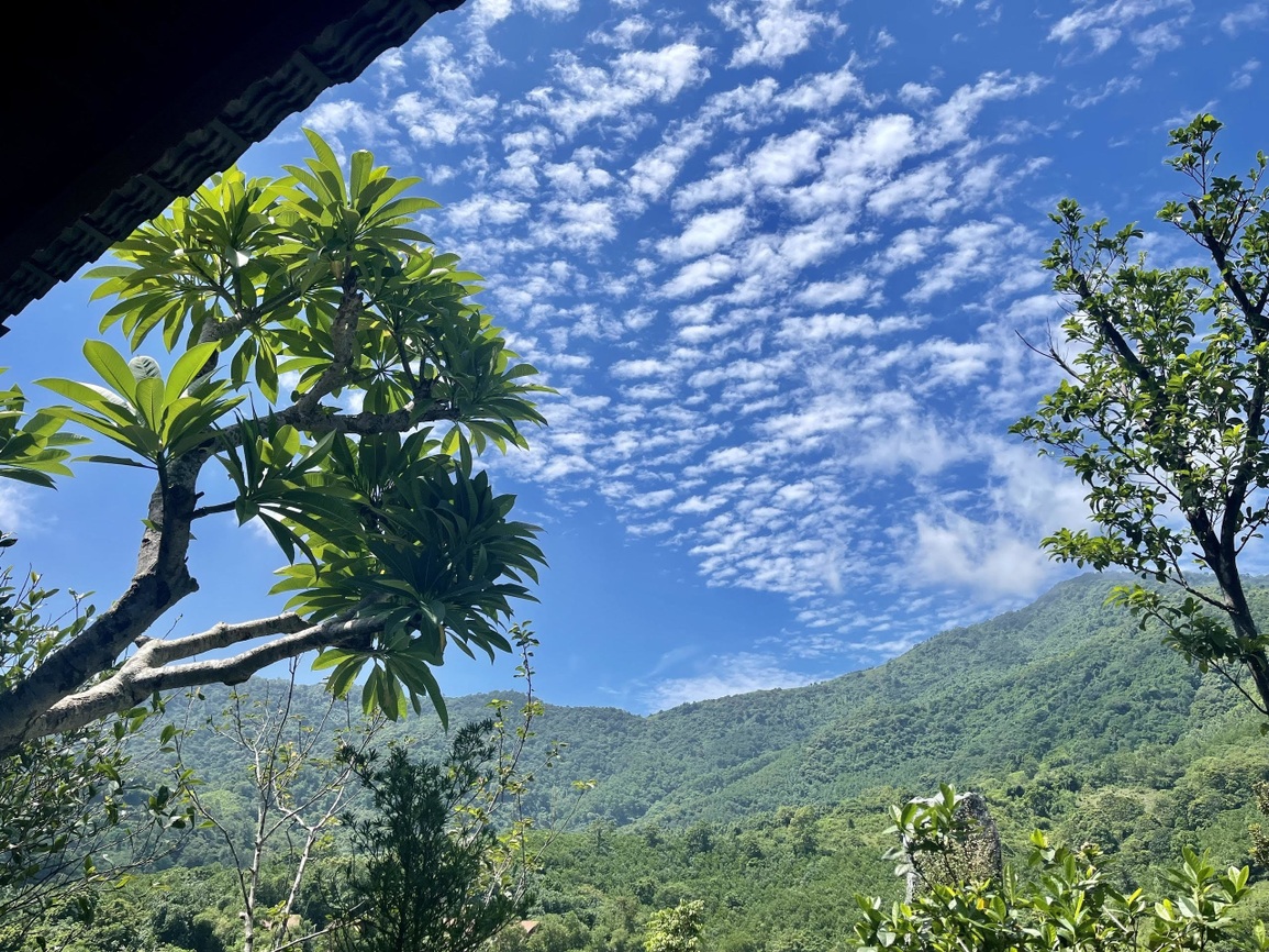 Nhà vườn 8.000 m2 của NSƯT độc thân tuổi 40 Phạm Phương Thảo - 5