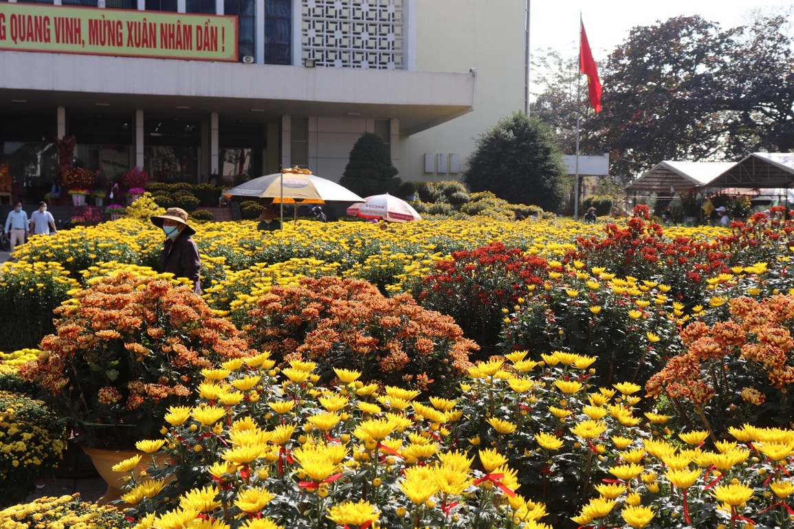 Sắc xuân rực rỡ phố Huế - 2 Sắc xuân rực rỡ phố Huế - 2