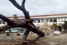 Hàng loạt trường học bị tốc mái, hư hỏng nặng do bão Damrey