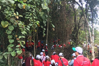 Hàng trăm người tham gia trồng rừng “Vì một Việt Nam xanh”